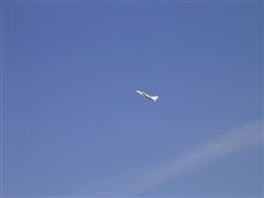 PICT1484.JPG